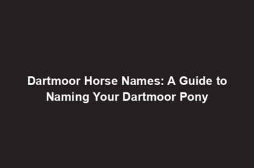 Dartmoor Horse Names: A Guide to Naming Your Dartmoor Pony