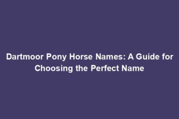 Dartmoor Pony Horse Names: A Guide for Choosing the Perfect Name