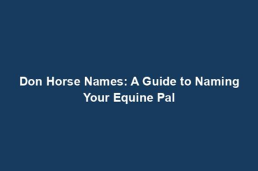 Don Horse Names: A Guide to Naming Your Equine Pal