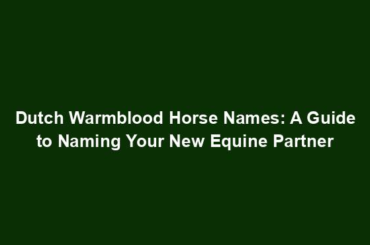 Dutch Warmblood Horse Names: A Guide to Naming Your New Equine Partner