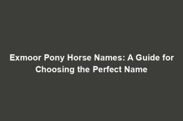 Exmoor Pony Horse Names: A Guide for Choosing the Perfect Name