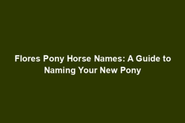 Flores Pony Horse Names: A Guide to Naming Your New Pony