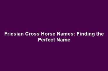 Friesian Cross Horse Names: Finding the Perfect Name