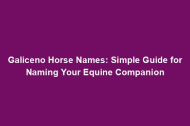 Galiceno Horse Names: Simple Guide for Naming Your Equine Companion