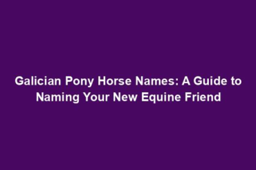 Galician Pony Horse Names: A Guide to Naming Your New Equine Friend