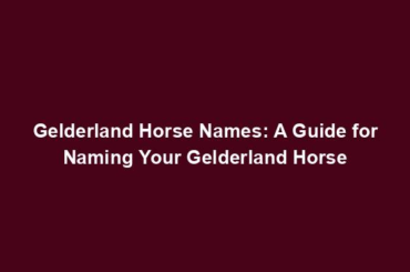 Gelderland Horse Names: A Guide for Naming Your Gelderland Horse