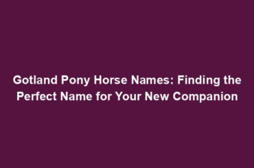 Gotland Pony Horse Names: Finding the Perfect Name for Your New Companion