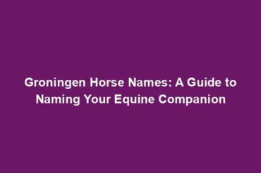 Groningen Horse Names: A Guide to Naming Your Equine Companion