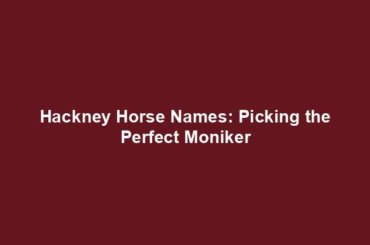 Hackney Horse Names: Picking the Perfect Moniker