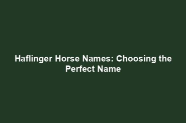 Haflinger Horse Names: Choosing the Perfect Name