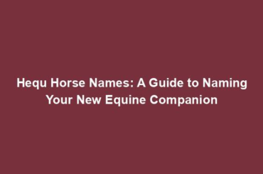 Hequ Horse Names: A Guide to Naming Your New Equine Companion