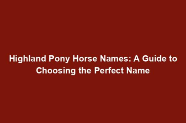 Highland Pony Horse Names: A Guide to Choosing the Perfect Name