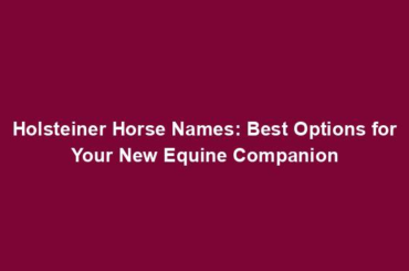 Holsteiner Horse Names: Best Options for Your New Equine Companion