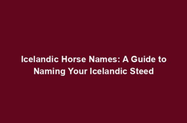 Icelandic Horse Names: A Guide to Naming Your Icelandic Steed