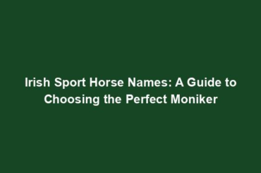 Irish Sport Horse Names: A Guide to Choosing the Perfect Moniker