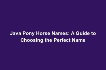 Java Pony Horse Names: A Guide to Choosing the Perfect Name