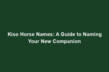 Kiso Horse Names: A Guide to Naming Your New Companion