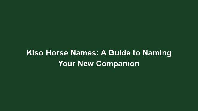 Kiso Horse Names: A Guide to Naming Your New Companion - HorseNames List