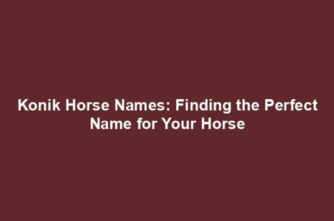 Konik Horse Names: Finding the Perfect Name for Your Horse