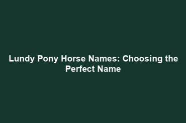 Lundy Pony Horse Names: Choosing the Perfect Name