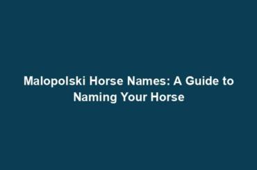 Malopolski Horse Names: A Guide to Naming Your Horse