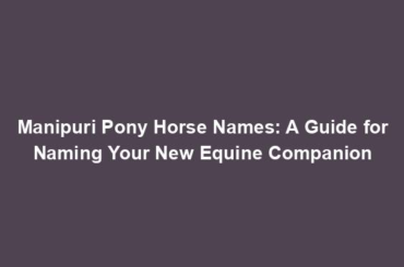 Manipuri Pony Horse Names: A Guide for Naming Your New Equine Companion