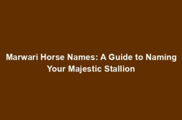 Marwari Horse Names: A Guide to Naming Your Majestic Stallion