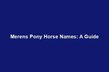 Merens Pony Horse Names: A Guide