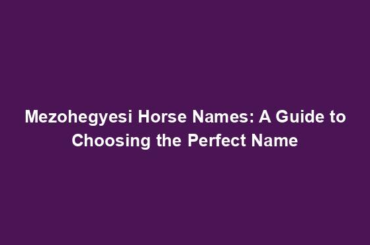 Mezohegyesi Horse Names: A Guide to Choosing the Perfect Name