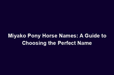 Miyako Pony Horse Names: A Guide to Choosing the Perfect Name