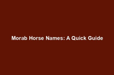 Morab Horse Names: A Quick Guide