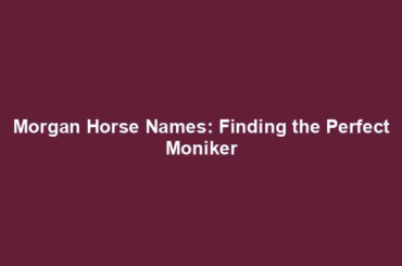 Morgan Horse Names: Finding the Perfect Moniker