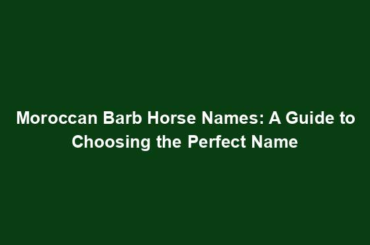 Moroccan Barb Horse Names: A Guide to Choosing the Perfect Name