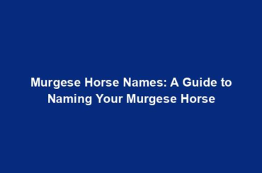 Murgese Horse Names: A Guide to Naming Your Murgese Horse