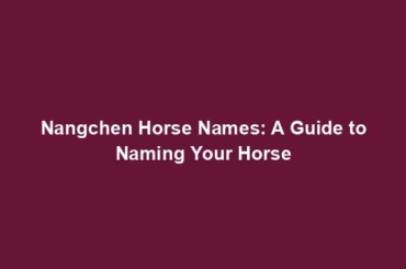 Nangchen Horse Names: A Guide to Naming Your Horse