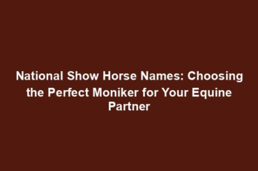 National Show Horse Names: Choosing the Perfect Moniker for Your Equine Partner