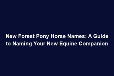 New Forest Pony Horse Names: A Guide to Naming Your New Equine Companion