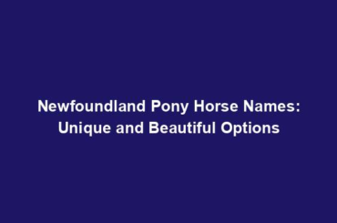 Newfoundland Pony Horse Names: Unique and Beautiful Options