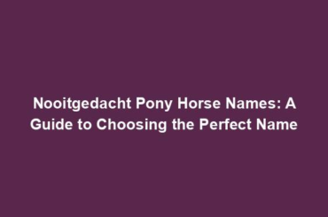 Nooitgedacht Pony Horse Names: A Guide to Choosing the Perfect Name