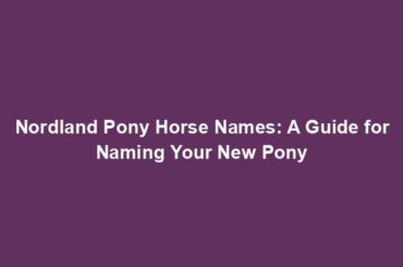 Nordland Pony Horse Names: A Guide for Naming Your New Pony