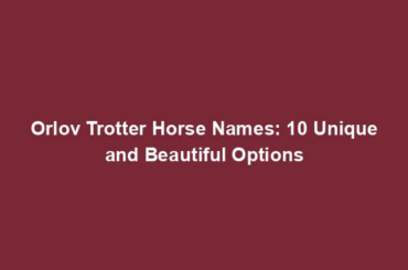 Orlov Trotter Horse Names: 10 Unique and Beautiful Options