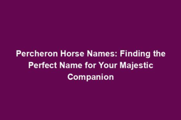 Percheron Horse Names: Finding the Perfect Name for Your Majestic Companion