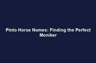 Pinto Horse Names: Finding the Perfect Moniker