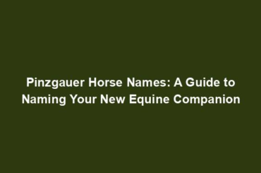 Pinzgauer Horse Names: A Guide to Naming Your New Equine Companion