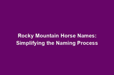 Rocky Mountain Horse Names: Simplifying the Naming Process