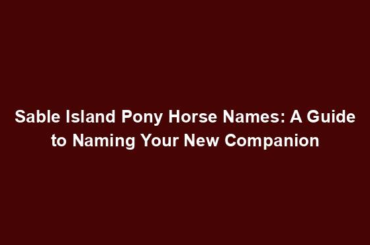 Sable Island Pony Horse Names: A Guide to Naming Your New Companion