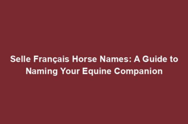 Selle Français Horse Names: A Guide to Naming Your Equine Companion