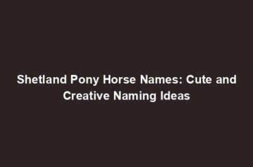 Shetland Pony Horse Names: Cute and Creative Naming Ideas