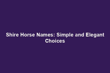 Shire Horse Names: Simple and Elegant Choices