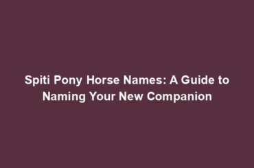 Spiti Pony Horse Names: A Guide to Naming Your New Companion